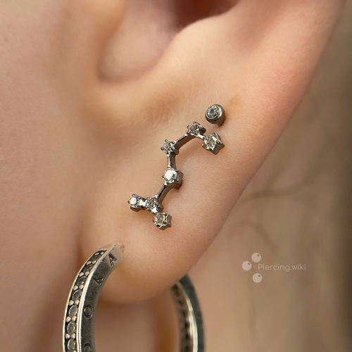 Топ знак зодиака Лев безрезьбовой фото 4